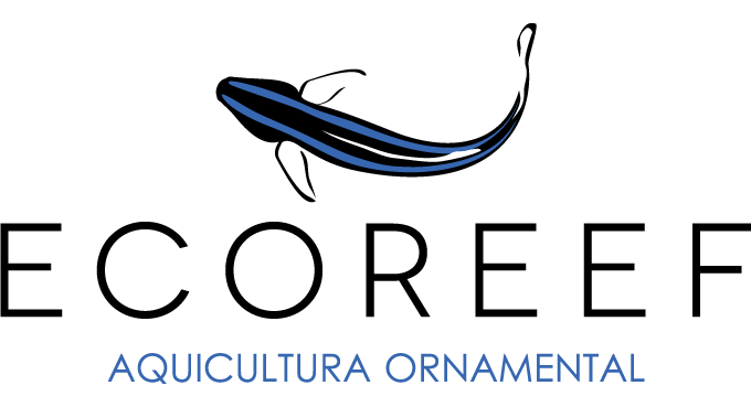 ECOREEF